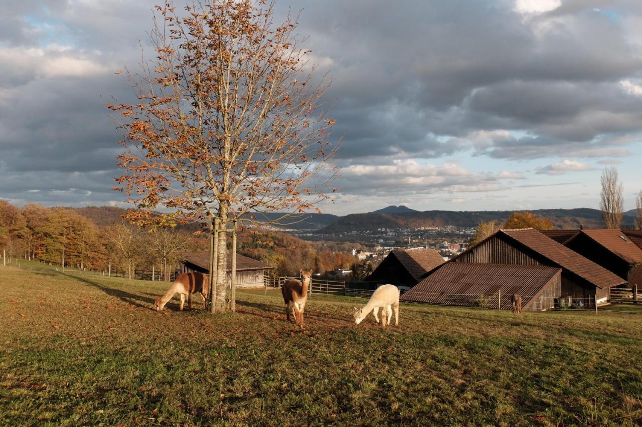 Prophetengut - Die Perle Im Jurapark Habsburg Extérieur photo